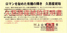画像をギャラリービューアに読み込む, 久慈原産琥珀原石(研磨済)