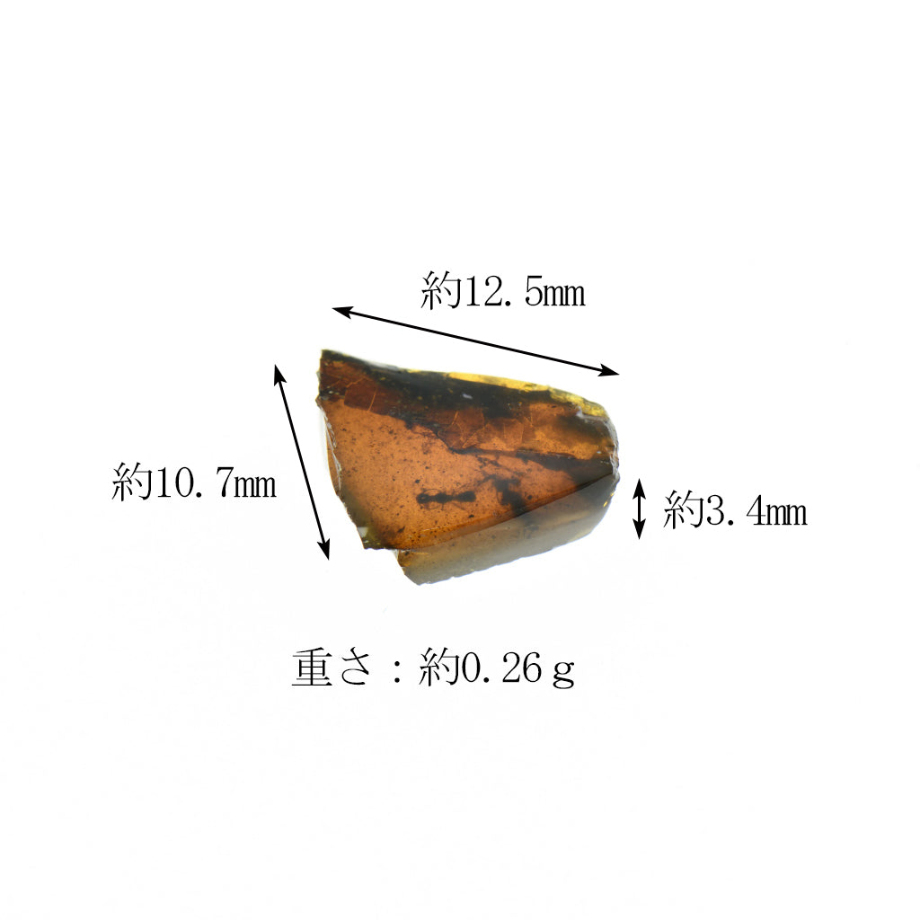 久慈琥珀　昆虫化石入り　天然琥珀 虫入琥珀原石 - 久慈琥珀オンラインショップ