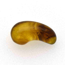 画像をギャラリービューアに読み込む, 久慈原産琥珀原石(研磨済)(勾玉)
