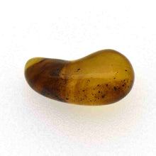 画像をギャラリービューアに読み込む, 久慈原産琥珀原石(研磨済)(勾玉)