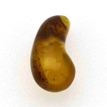 画像をギャラリービューアに読み込む, 久慈原産琥珀原石(研磨済)(勾玉)