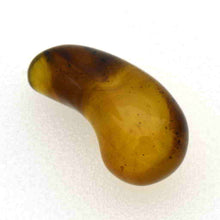 画像をギャラリービューアに読み込む, 久慈原産琥珀原石(研磨済)(勾玉)