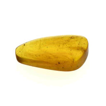 画像をギャラリービューアに読み込む, 久慈原産琥珀原石(研磨済)