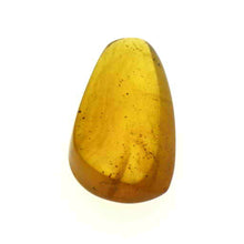 画像をギャラリービューアに読み込む, 久慈原産琥珀原石(研磨済)