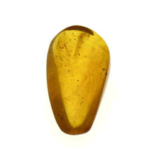画像をギャラリービューアに読み込む, 久慈原産琥珀原石(研磨済)