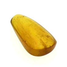 画像をギャラリービューアに読み込む, 久慈原産琥珀原石(研磨済)