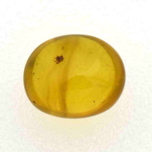 画像をギャラリービューアに読み込む, 久慈原産琥珀原石(研磨済)
