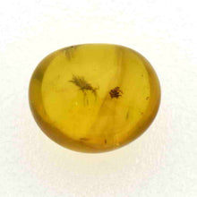 画像をギャラリービューアに読み込む, 久慈原産琥珀原石(研磨済)