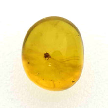 画像をギャラリービューアに読み込む, 久慈原産琥珀原石(研磨済)