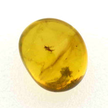 画像をギャラリービューアに読み込む, 久慈原産琥珀原石(研磨済)