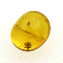 画像をギャラリービューアに読み込む, 久慈原産琥珀原石(研磨済)
