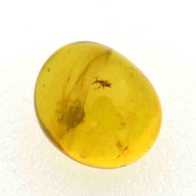 画像をギャラリービューアに読み込む, 久慈原産琥珀原石(研磨済)