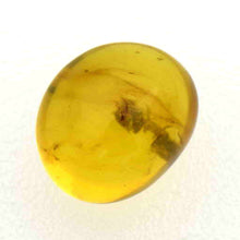 画像をギャラリービューアに読み込む, 久慈原産琥珀原石(研磨済)