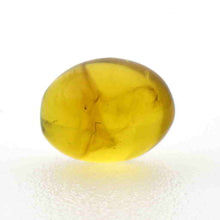 画像をギャラリービューアに読み込む, 久慈原産琥珀原石(研磨済)