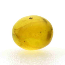 画像をギャラリービューアに読み込む, 久慈原産琥珀原石(研磨済)