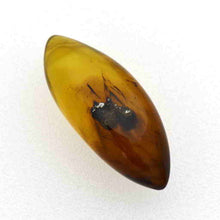 画像をギャラリービューアに読み込む, 久慈原産琥珀原石(研磨済)