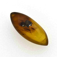 画像をギャラリービューアに読み込む, 久慈原産琥珀原石(研磨済)