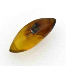 画像をギャラリービューアに読み込む, 久慈原産琥珀原石(研磨済)