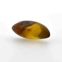 画像をギャラリービューアに読み込む, 久慈原産琥珀原石(研磨済)