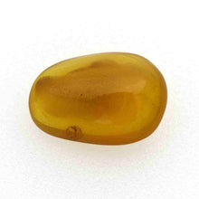 画像をギャラリービューアに読み込む, 久慈原産琥珀原石(研磨済)
