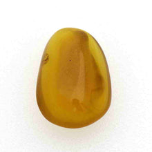 画像をギャラリービューアに読み込む, 久慈原産琥珀原石(研磨済)