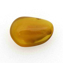 画像をギャラリービューアに読み込む, 久慈原産琥珀原石(研磨済)