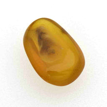 画像をギャラリービューアに読み込む, 久慈原産琥珀原石(研磨済)