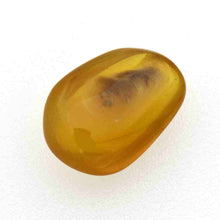 画像をギャラリービューアに読み込む, 久慈原産琥珀原石(研磨済)