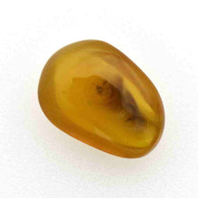 画像をギャラリービューアに読み込む, 久慈原産琥珀原石(研磨済)