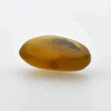 画像をギャラリービューアに読み込む, 久慈原産琥珀原石(研磨済)