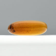 画像をギャラリービューアに読み込む, 久慈原産琥珀原石(研磨済)