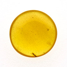 画像をギャラリービューアに読み込む, 久慈原産琥珀原石(研磨済)