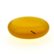 画像をギャラリービューアに読み込む, 久慈原産琥珀原石(研磨済)