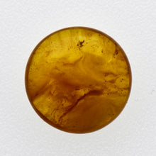 画像をギャラリービューアに読み込む, 久慈原産琥珀原石(研磨済)