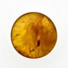 画像をギャラリービューアに読み込む, 久慈原産琥珀原石(研磨済)