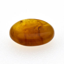 画像をギャラリービューアに読み込む, 久慈原産琥珀原石(研磨済)
