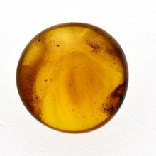 画像をギャラリービューアに読み込む, 久慈原産琥珀原石(研磨済)