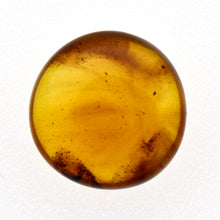 画像をギャラリービューアに読み込む, 久慈原産琥珀原石(研磨済)