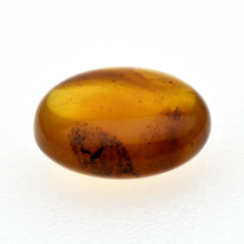 画像をギャラリービューアに読み込む, 久慈原産琥珀原石(研磨済)