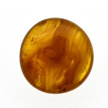 画像をギャラリービューアに読み込む, 久慈原産琥珀原石(研磨済)