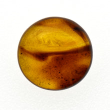 画像をギャラリービューアに読み込む, 久慈原産琥珀原石(研磨済)