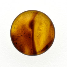 画像をギャラリービューアに読み込む, 久慈原産琥珀原石(研磨済)