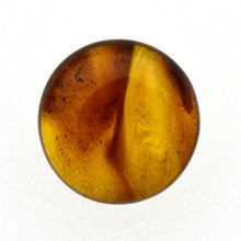 画像をギャラリービューアに読み込む, 久慈原産琥珀原石(研磨済)
