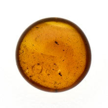 画像をギャラリービューアに読み込む, 久慈原産琥珀原石(研磨済)