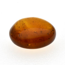画像をギャラリービューアに読み込む, 久慈原産琥珀原石(研磨済)