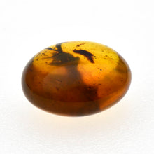 画像をギャラリービューアに読み込む, 久慈原産琥珀原石(研磨済)