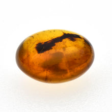 画像をギャラリービューアに読み込む, 久慈原産琥珀原石(研磨済)
