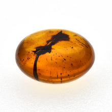 画像をギャラリービューアに読み込む, 久慈原産琥珀原石(研磨済)