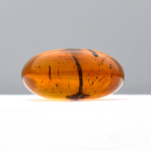 画像をギャラリービューアに読み込む, 久慈原産琥珀原石(研磨済)