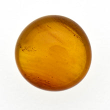 画像をギャラリービューアに読み込む, 久慈原産琥珀原石(研磨済)